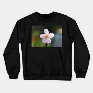 Almond Blossom Crewneck Sweatshirt